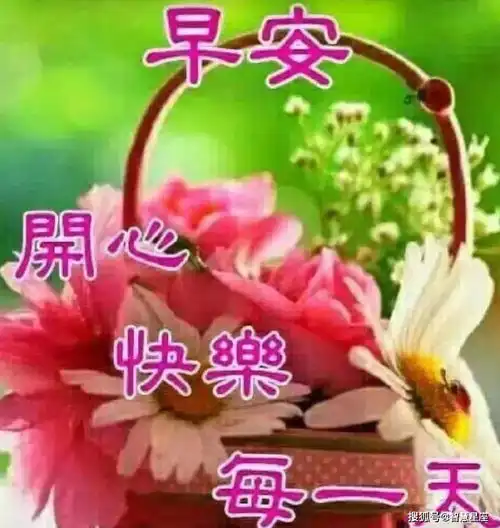  7月10日新版微信早上好的温馨句子微信特漂亮的早上好问候语动图