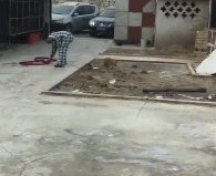  搞笑gif猫吓死老子了,能不提前打个招呼