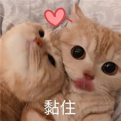 最新出炉的热门可爱的聊天表情