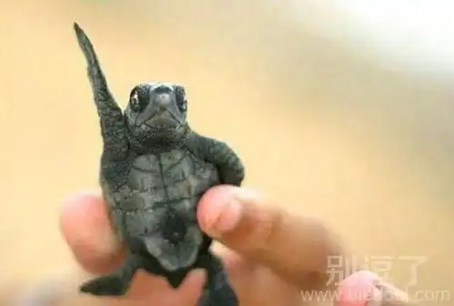 精选搞笑段子做完b超发信息给男友,手一抖,发到大学群里,结果  精选搞笑段子做完b超发信息给男友,手一抖,发到大学群里,结果