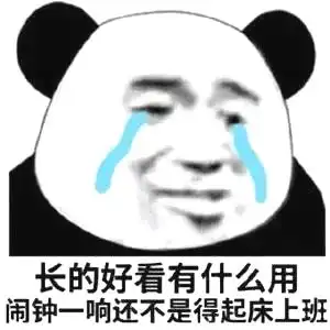  生活放大镜西大研究生的一天