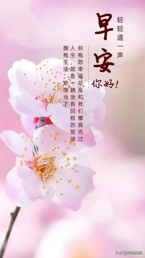  当看到叶子凄美的落下,才知道时间煮水,生命就是一次又一次的更新