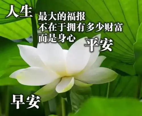  微信早上好问候朋友的暖心祝福语录,早安问候祝福动态表情图片