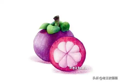  彩铅入门小教程,教你画山竹,零基础也可以学会
