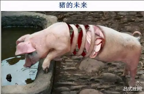  什么东西一旦申请专利,就可以瞬间成为全球首富呢