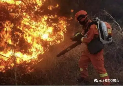  紧急大理凶猛山火连烧20多个小时,多部门紧急扑救