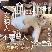  全网提醒一个养猫9年的妹纸你男朋友要骗你结婚,同意你养猫,然后把猫扔掉