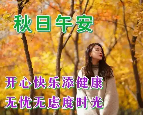  2024年8月25日周日精选早安祝福图片,雨过菊花香,又感秋风凉早安祝福美图分享给您网易订阅