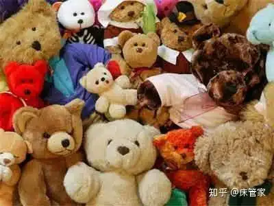  毛绒娃娃如何清洗除螨