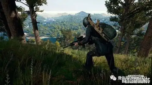  绝地求生4x4新地图截图测试玩家反馈好玩