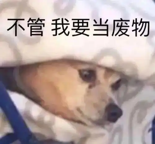 表情包谁抖音