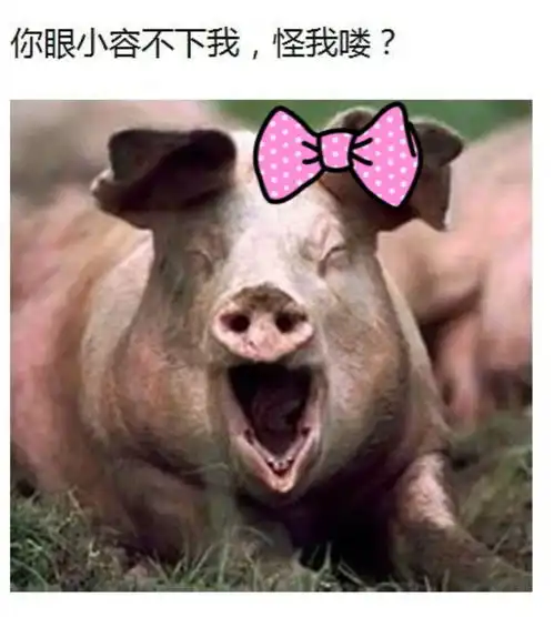  以为房价会下跌就把房退了,可置业顾问当初为啥不拦着我