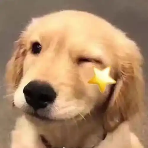 滨江河边这些新摆设的是什么荔浦的新消息都出自这  滨江河边这些新摆设的是什么荔浦的新消息都出自这