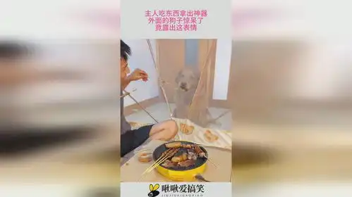  主人吃东西拿出神器,外面的狗子惊呆了,竟露出这表情