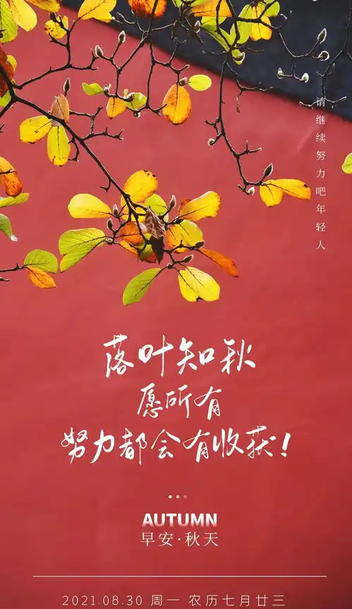  新的一周早起发朋友圈阳光图片说说,认真生活,做热爱的事