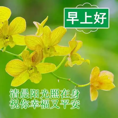  周三早上好中老年表情包,话不在多,贴心最真送给最在乎的人