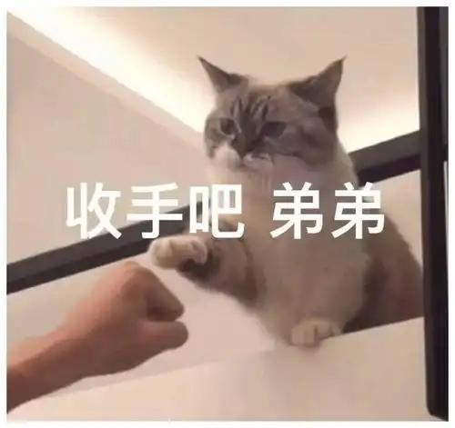  搞笑gif我全程都在看后面的美女跳舞,不知道你们在看什么