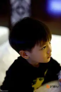 组图小亮仔搞怪做鬼脸被窝照软萌似猫咪  组图小亮仔搞怪做鬼脸被窝照软萌似猫咪