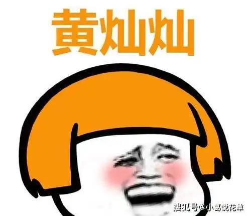  开心笑话天气预报说会出太阳,可是雨却下了一周都不见停