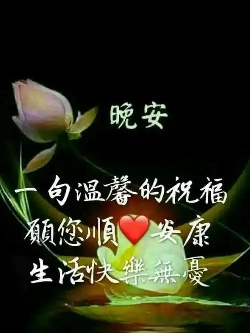  亲爱的晚上好动态图片,早点休息晚安问候语