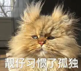  鬼畜版搞笑表情包身为靓仔的我已经习惯了孤独
