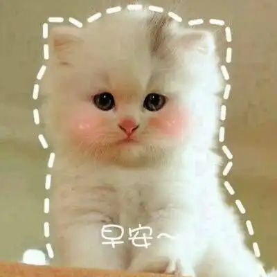 搞笑图片带字幽默微信动