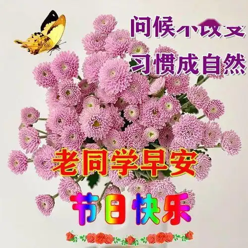  老同学早上好表情包,花好月圆人团圆,同学情谊到永远