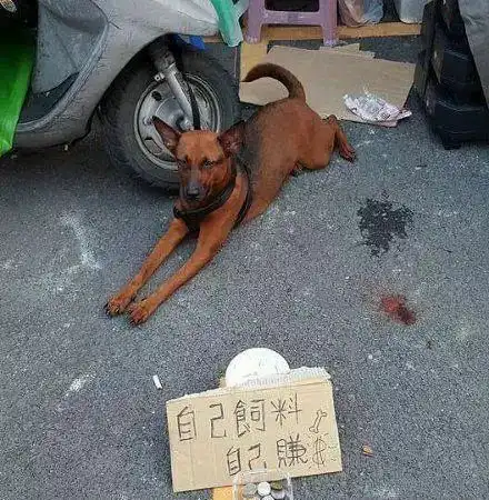  搞笑gif段子看我龟派气功
