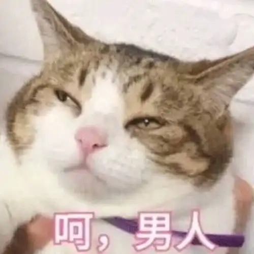 男人减肥的图片搞笑表情