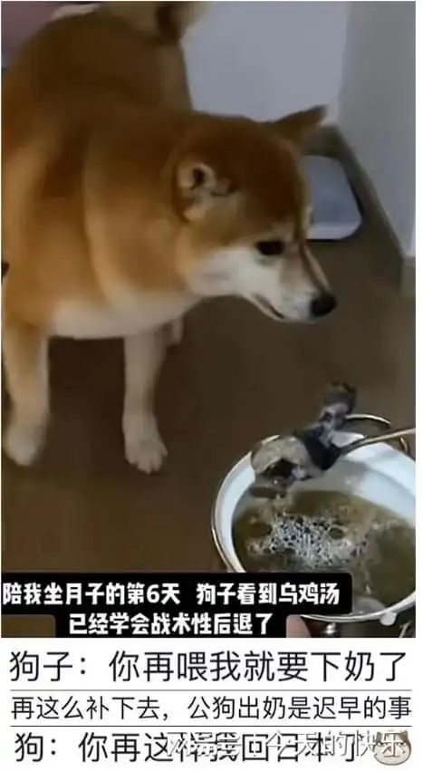 思考的搞笑图片奶茶