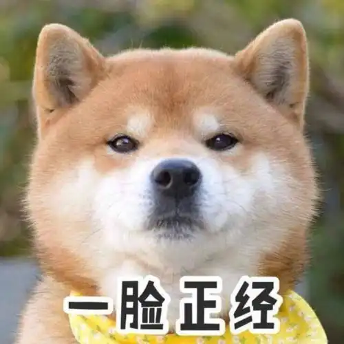  每日搞笑一本正经爆笑的沙雕段子