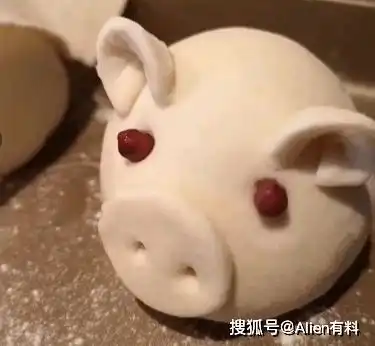 猪睡觉图片搞笑整人中国
