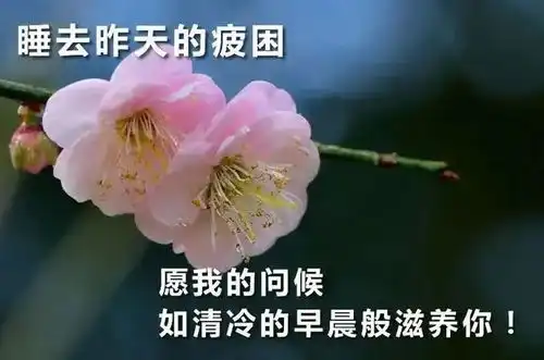 清晨问候图片搞笑美联储