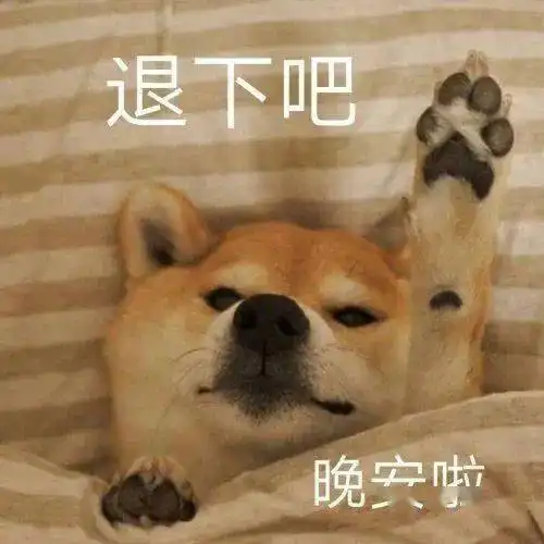  沙雕表情我懂了我是你可有可无的网友