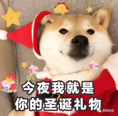  思特科技圣诞节我们这么过