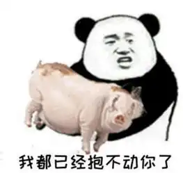  表情包怎么不回复我消息