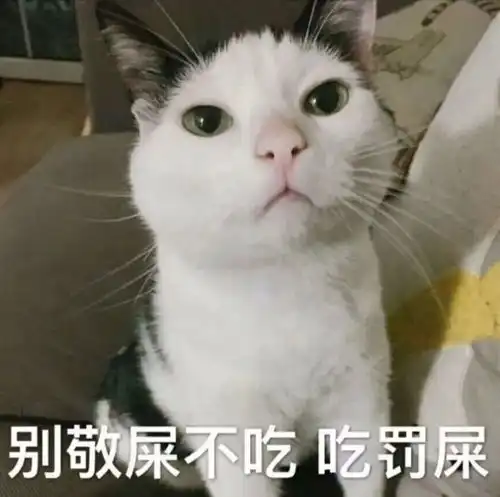 名师手把手教学,教你学会直女发言