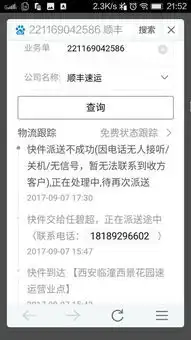  顺丰快递母单号221169042586查询