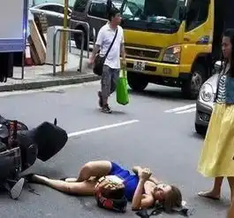  搞笑狗子主人,你自己去玩一会吧,我要睡午觉了