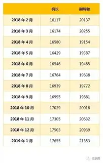 截至2月20日我国民航驾驶员执照总数为62295本