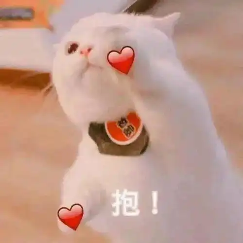  那个姑娘喝醉酒,追着我叫爸爸,问我为啥不认她