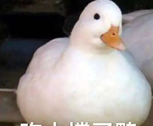  爆笑段子你工作表现的不错,工资准备给你涨三百