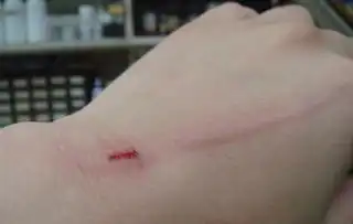  女子被猫抓伤男友将猫乱棍打死上海一女子逗水果店门口猫咪被抓伤,男友情绪激动将猫乱棍打死