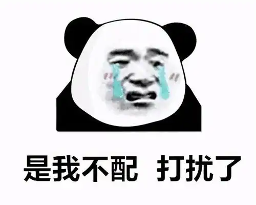  搞笑沙雕表情今天的单身就到此为止吧,明天依旧没有对象啊宝贝