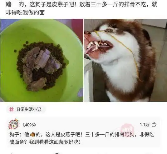  轻松一刻我爸爸揍我了,我要搞破坏