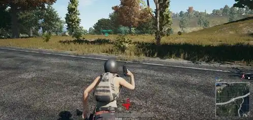 绝地求生扒一扒初入游戏时,被你坑过的队友都有谁 绝地求生扒一扒初入游戏时,被你坑过的队友都有谁