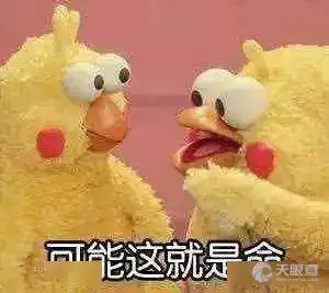 雨表情包微信