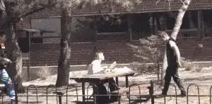  搞笑gif姑娘啊,我发现你这拍照技术真感人