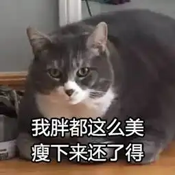  当这些胖猫被做成表情包,简直不要太魔性啊哈哈哈...