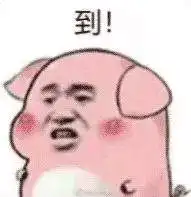  抖音热门猪圈表情包高清去水印版
